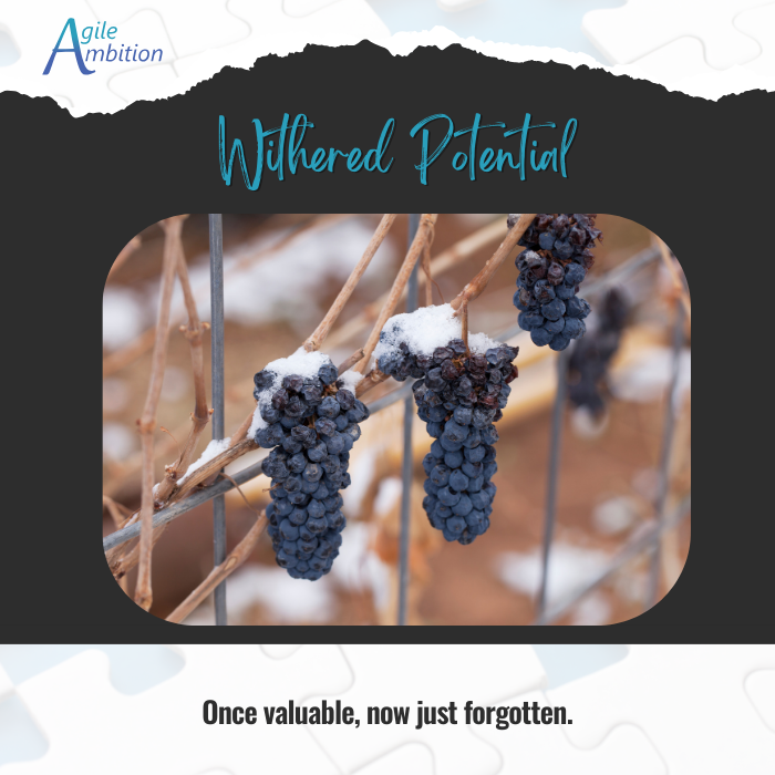 Dried, shriveled grapes hanging on a vine.