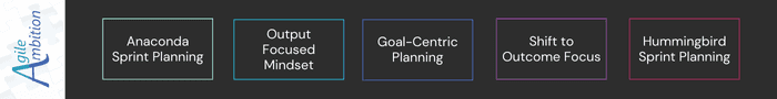 Diagram showing Anaconda Sprint Planning to Hummingbird Sprint Planning with goals and outcomes.