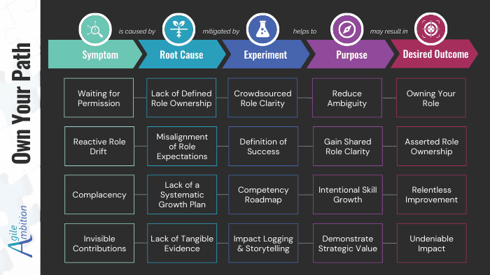 Flowchart mapping symptoms, root causes, experiments, purposes, and outcomes for defining career roles.