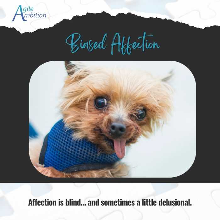 A blue vested small dog with a goofy expression, tongue out. Caption:Affection is blind... and sometimes a little delusional.